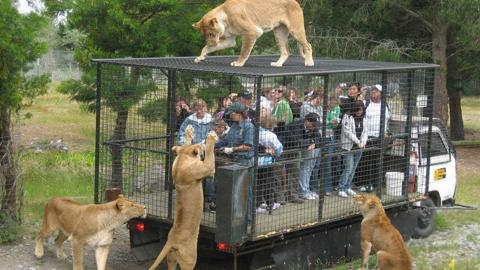 أغرب حدائق حيوان في العالم غير عادية !