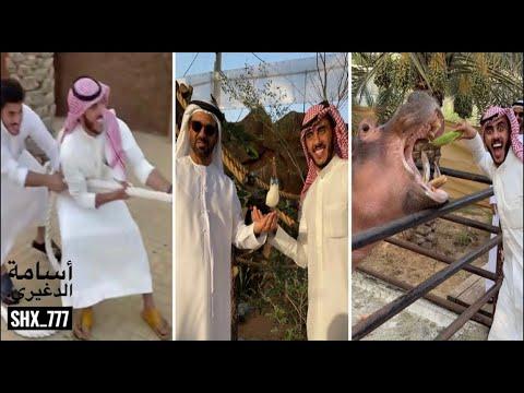أسامه الدغيري يخسر التحدي مع أغرب حيوان هجين في