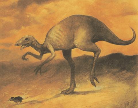 كيف انقرضت الديناصورات؟