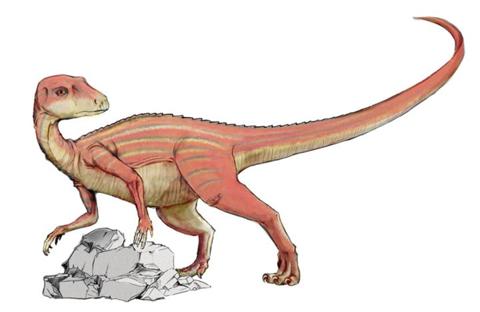 معلومات عن الديناصورات حقائق مدهشة تسمعها لاول