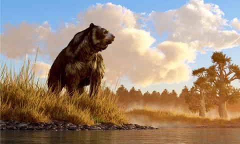 اكتشف الدب الذي يزن 4 000 رطل الذي كان أكبر دب