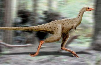 كيف انقرضت الديناصورات من الأرض ؟
