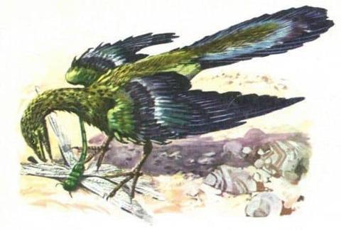 طائر الأركيوبتركس